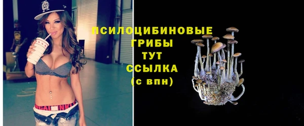 2c-b Переславль-Залесский