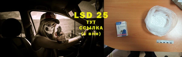 прущий лед Пересвет