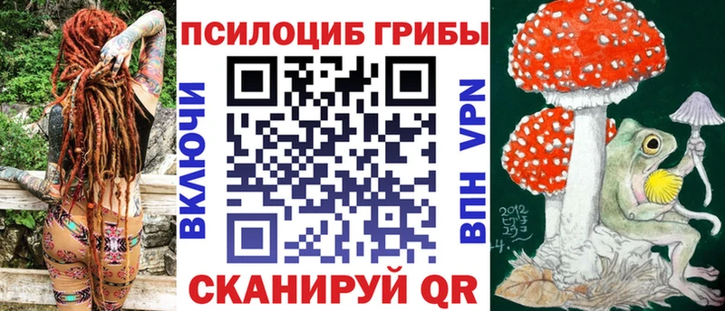 Галлюциногенные грибы мухоморы  купить наркотик  Гагарин 